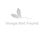 wholesale pest sensor cards