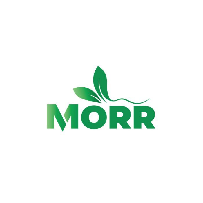 Author Image - Morr