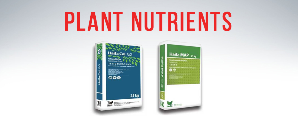 wholesale hydroponic greenhouse supplies and plant nutrients by haifa chemicals