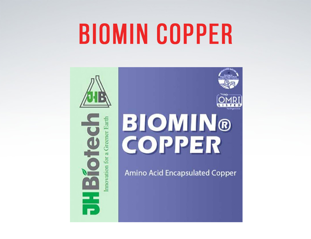 biomin copper nutrients for agriculture wholesale 