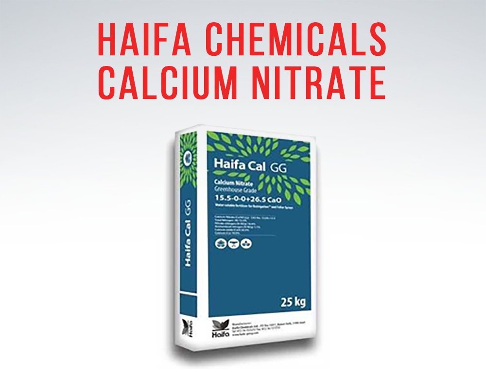 haifa chemicals calcium nitrate in wholesale plant nutrients