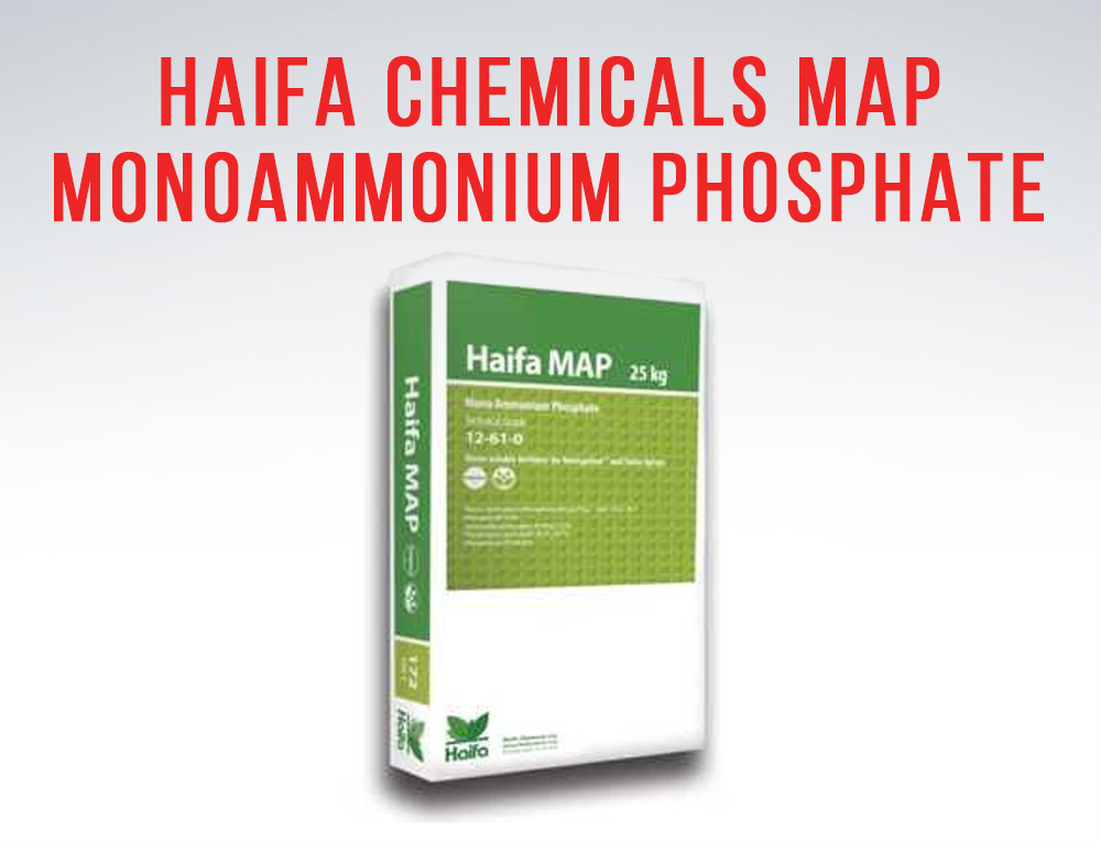 haifa chemicals monoammonium phosphate MAP in commercial greenhouse supplies