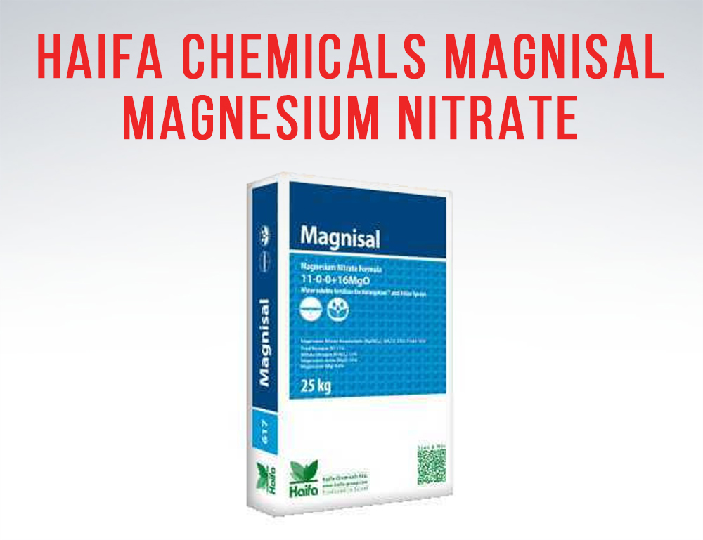 haifa chemical magnesium nitrate for magnesium deficiency prevenetion