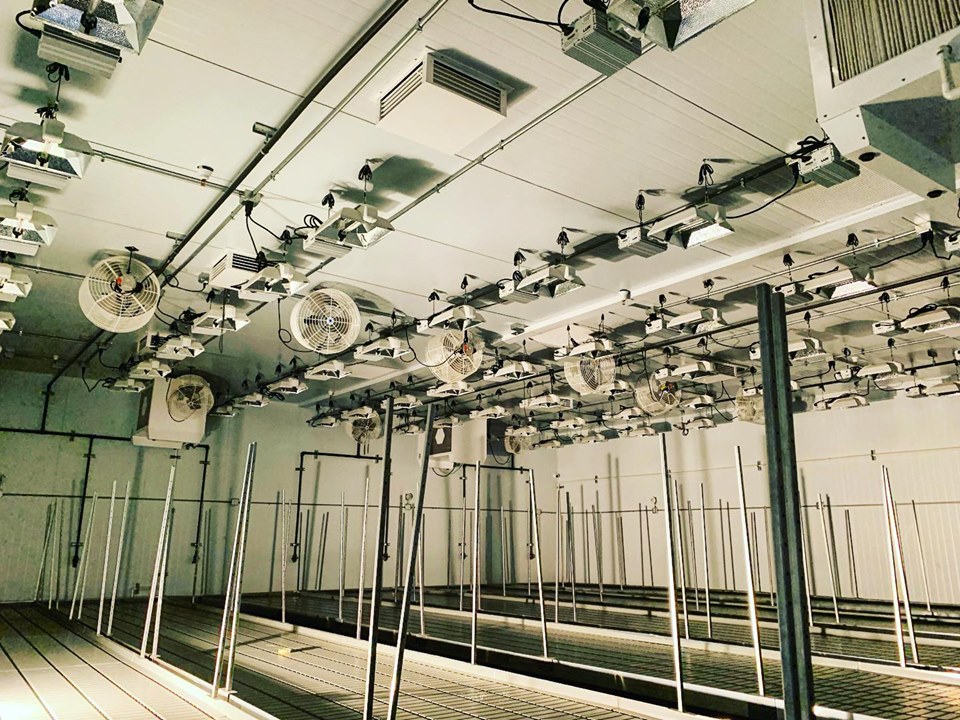 commercial-grow-lighting