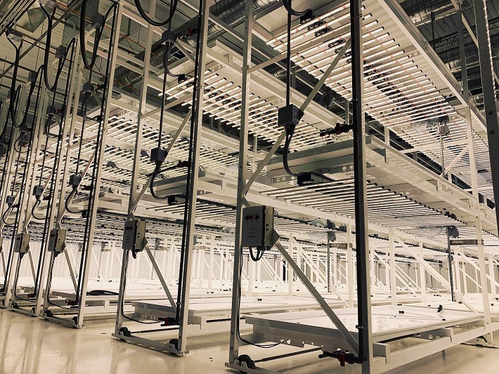 vertical-farm-construction-services