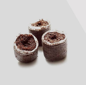 Grow_Plugs_Coco
