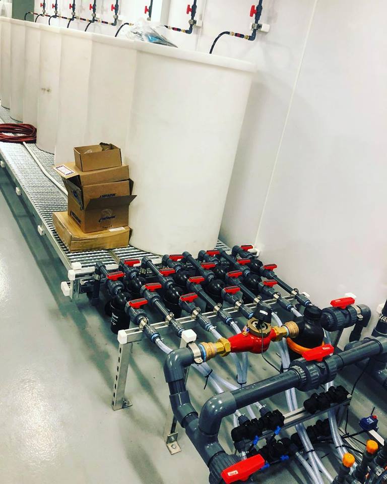 ag-drip-irrigation -systems