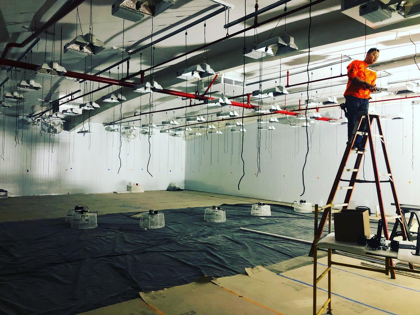 grow-room-builders-los angeles