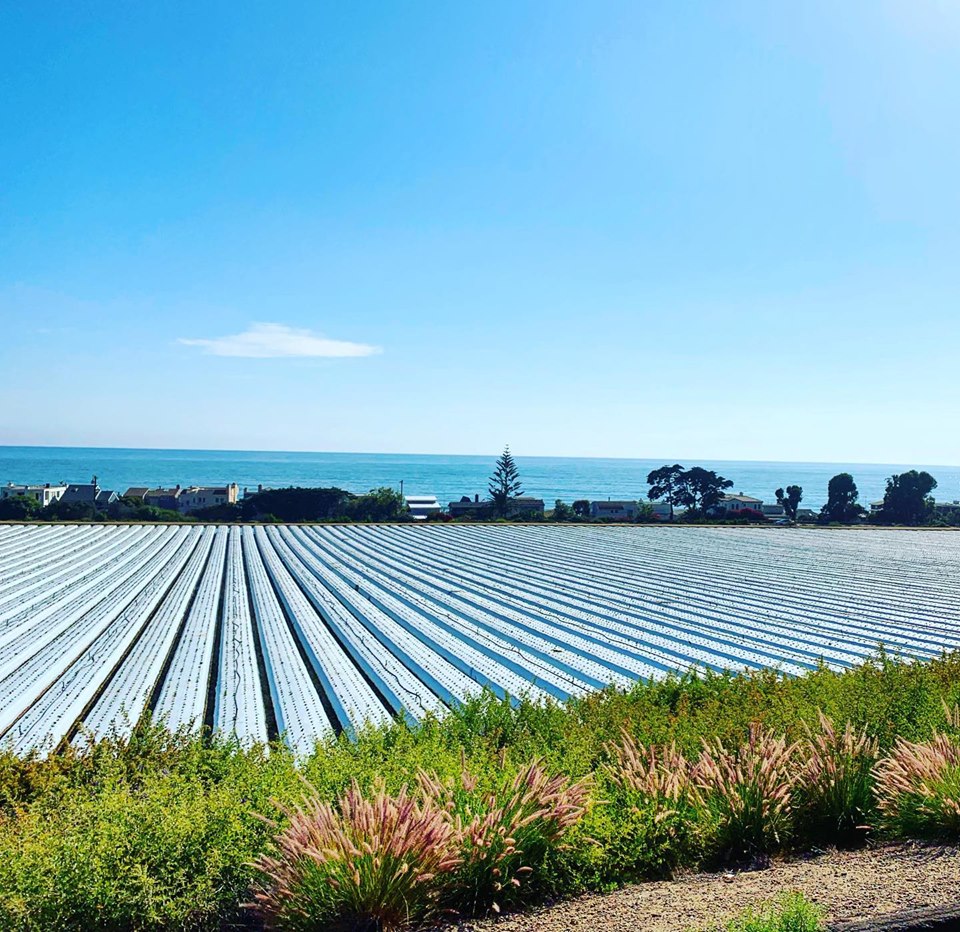commercial farm suppliers
