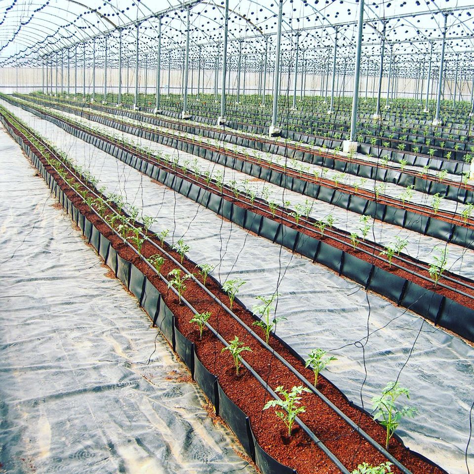 commercial-greenhouse-drainage-systems
