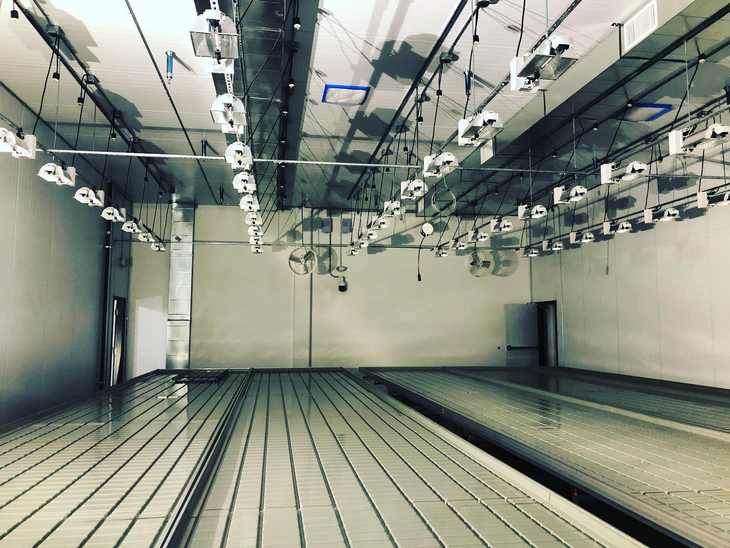 indoor-grow-rooms